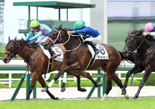 【阪神5R・2歳新馬】「まだ成長の余地がある」田口貫太騎手が称賛　新種牡馬インディチャンプ産駒のJRA初勝利導いた