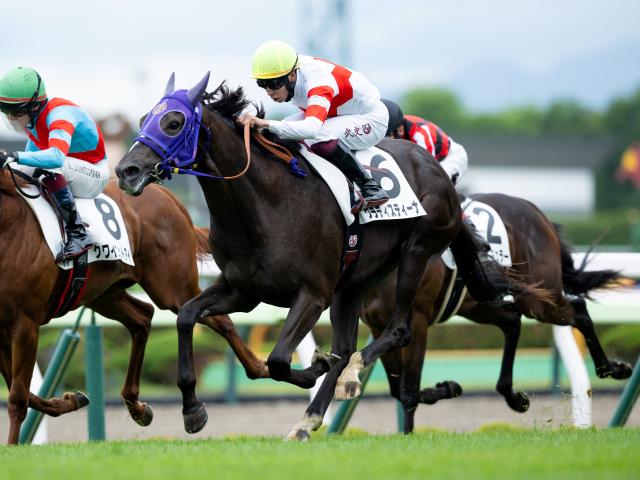 【函館5R新馬戦結果】パドトロワ産駒クラディスティーナが差し切り勝ち
