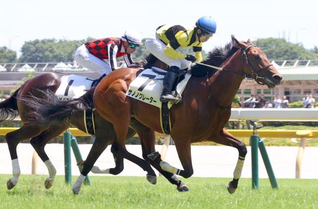 【東京5R・2歳新馬】5番人気のサノノグレーターが仕切り直しの一戦でV　横山琉人騎手「取消の影響を感じなかった」