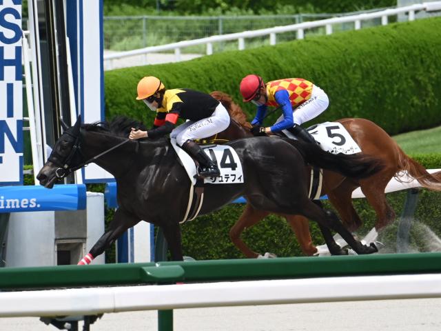 【阪神6R新馬戦結果】ルヴァンスレーヴ産駒シュテフィが初陣飾る