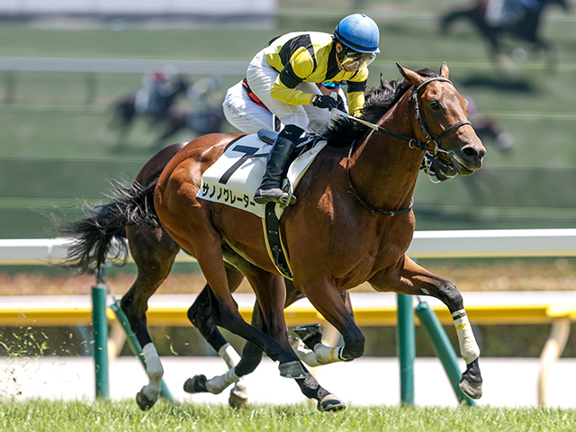 【東京5R新馬戦結果】グレーターロンドン産駒サノノグレーターが豪快差し切りV