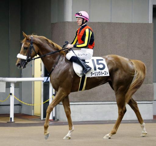 【東京5R・2歳新馬】フォーエバーヤングの半妹ダーリングハーストは3着　国枝調教師「これからだよ」