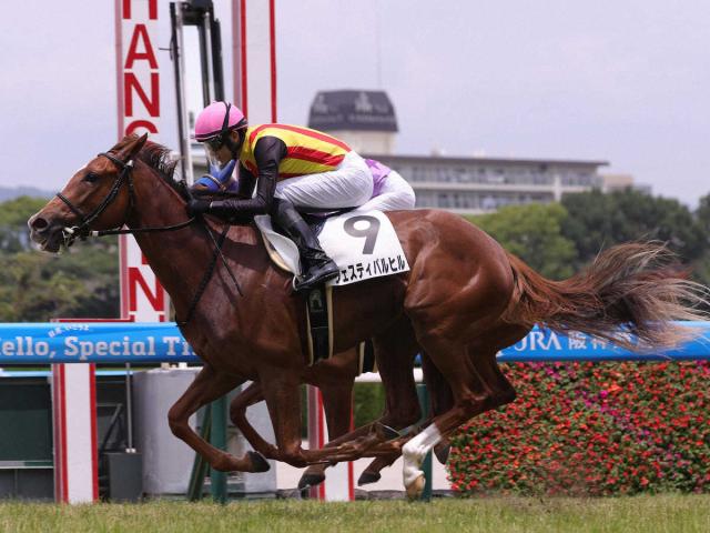 【阪神5R・新馬戦】1番人気フェスティバルヒルV　坂井「今後が楽しみな馬」