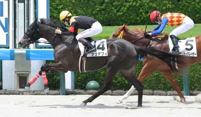 【阪神6R・2歳新馬】伯父にヴァーミリアンを持つシュテフィが押し切る　松山弘平騎手「しっかり伸びてくれた」