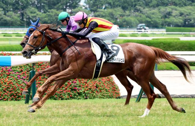 【阪神5R・2歳新馬】皐月賞馬の妹フェスティバルヒルが好位から抜け出す　坂井瑠星騎手「初戦から結果も内容も求めていた馬」