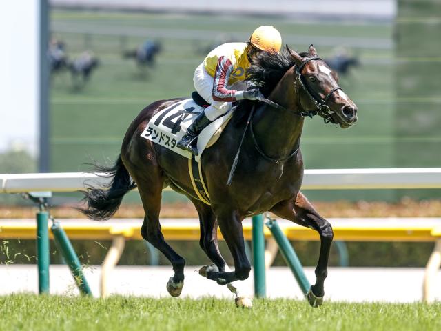 【東京6R新馬戦結果】9番人気ランドスターが抜け出し快勝 シャンハイボビー産駒