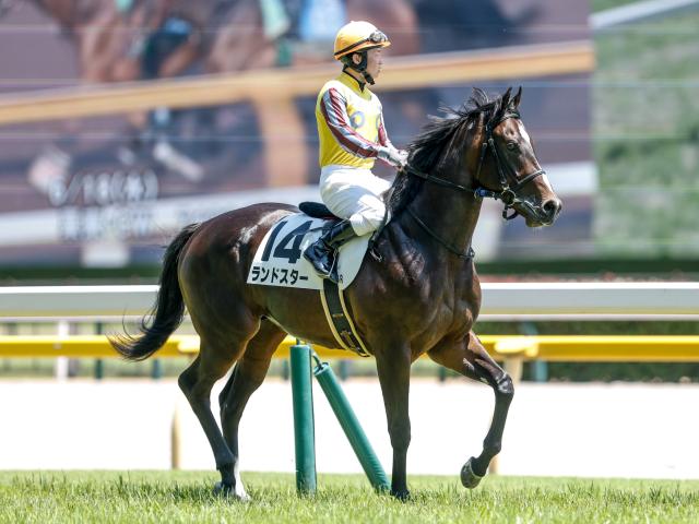 【メイクデビュー東京6Rレース後コメント】ランドスター丸田恭介騎手ら
