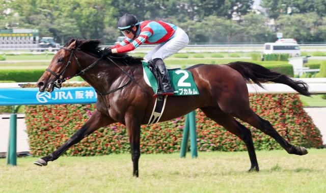 【しらさぎS】初代覇者はキープカルム　初コンビの坂井瑠星騎手が重賞初V導いた　オークス馬カムニャックの半兄