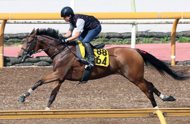【府中牝馬S】セキトバイーストが重賞初制覇　都大路Sから連勝