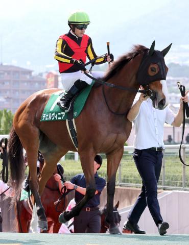 【しらさぎS】昨年の2冠牝馬チェルヴィニアは2着　昨年の秋華賞以来の勝利ならず