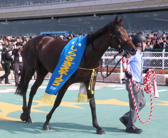 【しらさぎS】初代覇者はキープカルム　直線抜け出し重賞初V