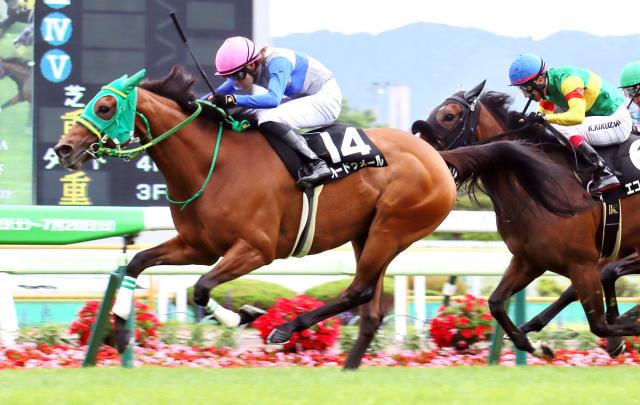 【函館11R・UHB杯】14番人気のオードゥメールが先行策で押し切り　斎藤新騎手「強気に乗りました」