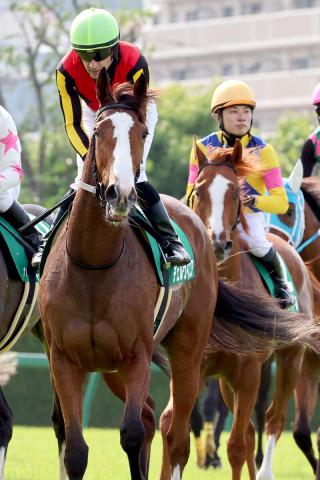 【しらさぎS】昨年の2冠牝馬チェルヴィニアは2着　秋華賞以来の勝利ならず　ルメール騎手「流れが遅かった」