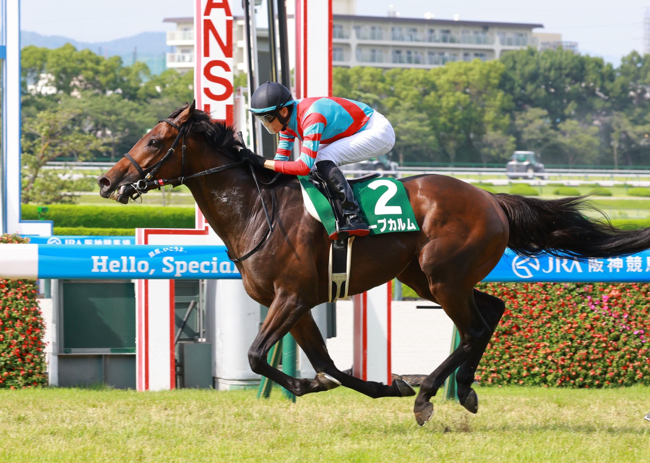 【しらさぎＳ】５番人気のキープカルムが重賞初Ｖで初代王者　坂井「第１回で勝ててうれしい」