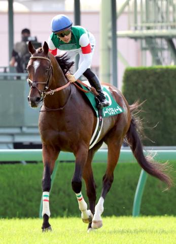 【しらさぎS】初マイルのレーベンスティールは7着　川田将雅騎手「4コーナーまで、とてもいい内容で走れました」