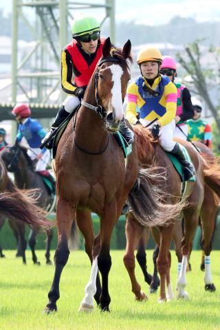 【しらさぎS】昨年の2冠牝馬チェルヴィニアは2着　秋華賞以来の勝利ならず　ルメール騎手「流れが遅かった」