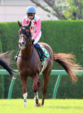 【しらさぎS】ダイシンヤマトは一度は抜け出すも4着　岩田康誠騎手「勝負をかけたけど伸び切れなかった」