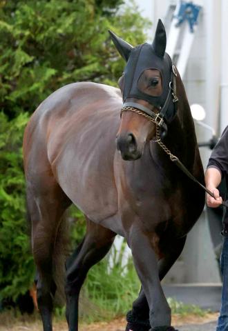【府中牝馬S】「もう1列前で…」ラヴァンダ3着に岩田望来騎手「枠的にも大外だったので厳しかった」