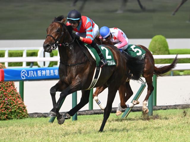 【しらさぎS結果】キープカルムが重賞初制覇 二冠牝馬チェルヴィニアは2着