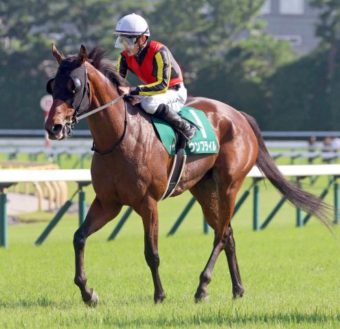 【府中牝馬S】内を伸びたウンブライルが4着　石川裕紀人騎手「イメージしていたような競馬ができた」