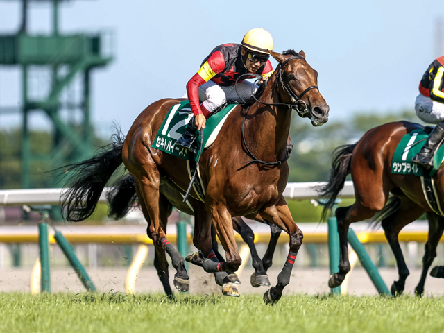 【府中牝馬Sレース後コメント】セキトバイースト浜中俊騎手ら