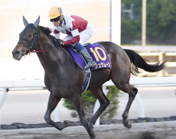 【高知優駿】ジュゲムーンが単勝1・1倍に応えて2冠達成　赤岡修次騎手は13年ぶり4勝目