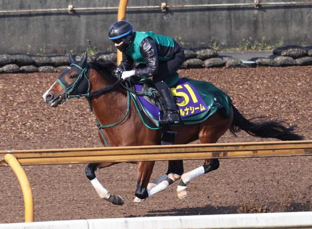 【函館記念展望】“荒れるG3”重賞2勝のアルナシーム中心