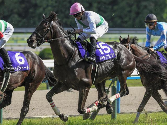 【函館記念】青森産馬のJRA重賞制覇なら5年ぶり ハヤテノフクノスケが戴冠なるか