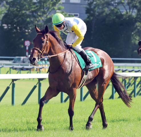 【府中牝馬S】「一瞬はつかまえられそうな感じ」でカナテープ惜しくも2着　大野拓弥騎手は評価