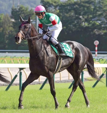 【府中牝馬S】格上挑戦ながら1番人気のカニキュルは8着　戸崎圭太騎手「内を回ってくればよかった感じ」