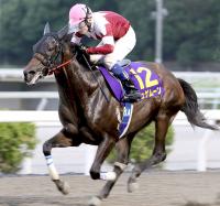 高知優駿を制したジュゲムーン