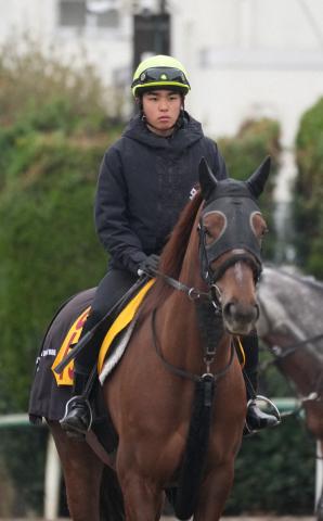 【函館7R】ウマピョイ騎乗の上里　落馬転倒で負傷　2日間の騎乗停止に…