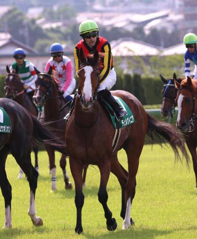 【しらさぎS】チェルヴィニア　1馬身差屈し2着　ルメール「もう少し速い流れなら…」