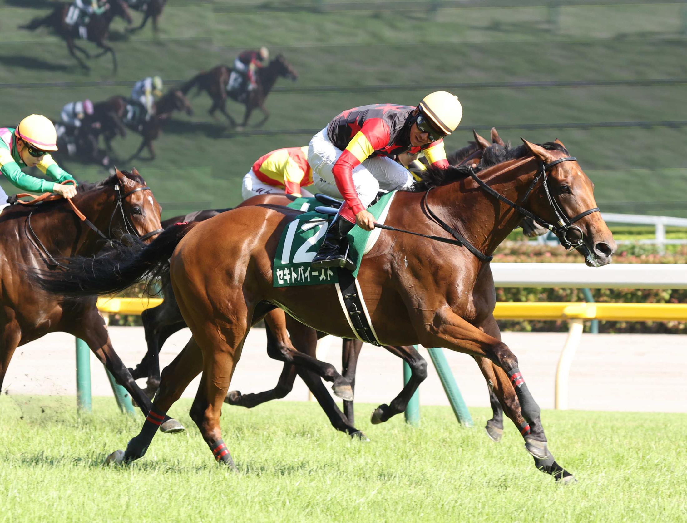 【府中牝馬Ｓ】セキトバイースト初タイトル　強烈向かい風に負けず直線抜けきった　東で賞金積み、秋の大舞台へ