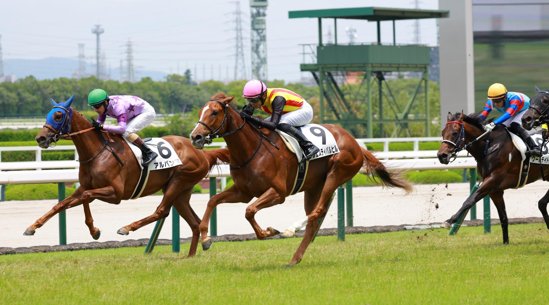 【新馬戦】フェスティバルヒル　圧倒的１番人気に応えた　坂井「いろいろ経験できた、今後が楽しみ」