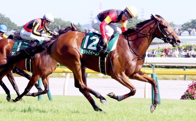 【府中牝馬S】「精神力で先頭を走り切ってくれた」浜中完璧エスコート　4歳牝馬重賞初タイトル