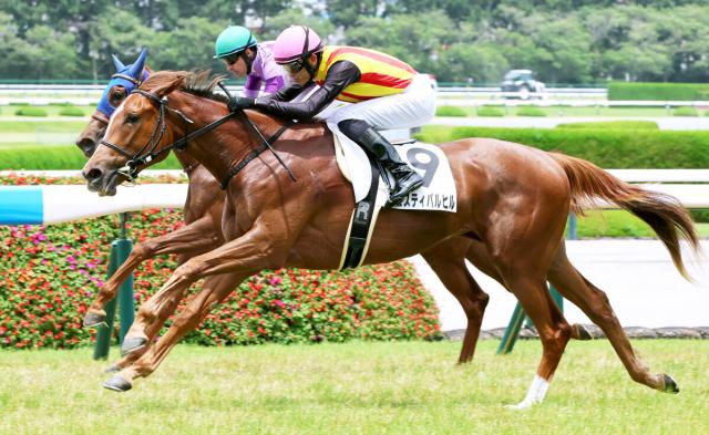 【阪神5R・2歳新馬】皐月賞馬ミュージアムマイルの半妹が初陣星　坂井瑠星騎手「今後が楽しみになった」
