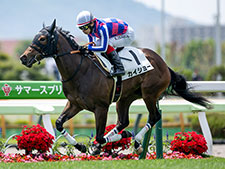 函館芝1000mの2歳レコードを更新したカイショー(撮影：山中博喜)