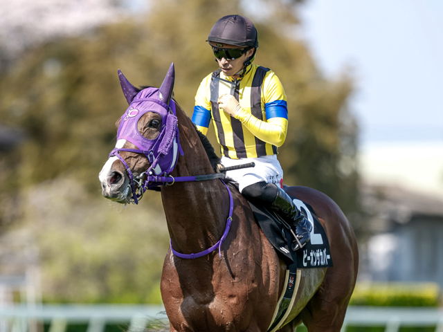 【ラジオNIKKEI賞見どころ】ビーオンザカバーが連勝で重賞制覇だ