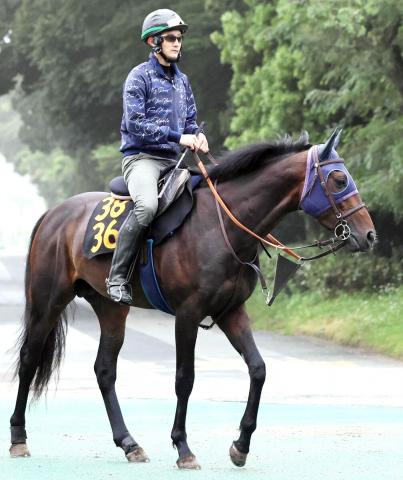 【ラジオNIKKEI賞・イシゴーの特注馬】レーヴブリリアントの前走は参考外　ルメール騎手「馬場が悪かった」