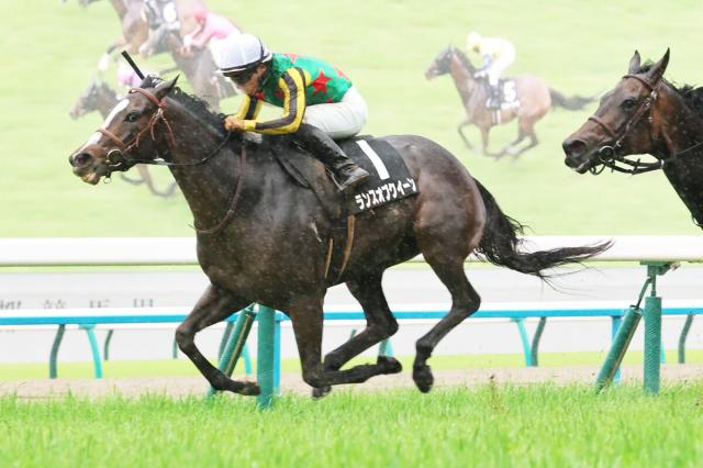 【函館記念・理貴の特注馬】前走でオープン入り果たした昨年のオークス5着馬に期待　相手なりに崩れない安定感が光る