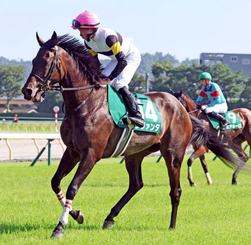 【府中牝馬S】「もう1列前で…」ラヴァンダ3着に岩田望来騎手「枠的にも大外だったので厳しかった」