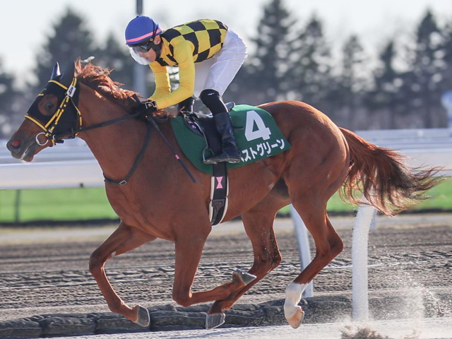 【栄冠賞予想】地方競馬の登竜門となる一戦 飛躍をのぞむ有力馬を一挙紹介