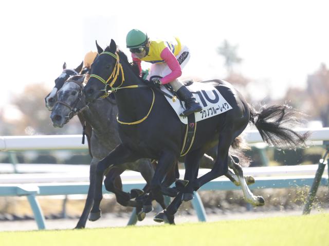 【AI予想・ラジオNIKKEI賞】混戦ムードの3歳限定ハンデ重賞！ 人工知能は波乱の可能性も示唆