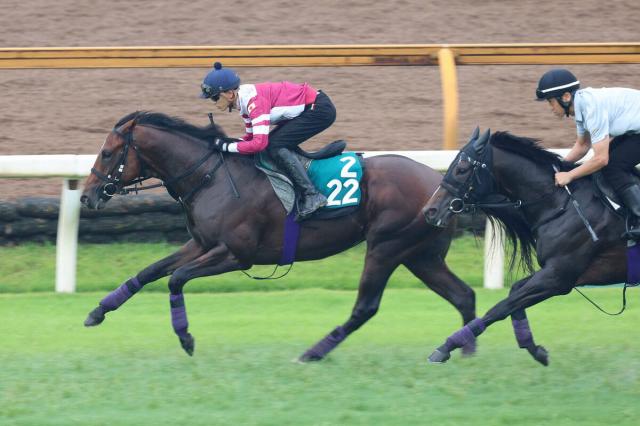 【ラジオNIKKEI賞】バズアップビートが重賞初挑戦　陣営「想像以上に脚を使ってくれた」白百合S3着を評価