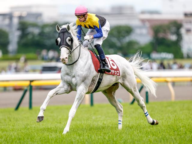【先週のJRA抹消馬】重賞3勝を挙げた白毛馬ハヤヤッコ、芝・ダート・障害で白星を挙げたガンダルフなど