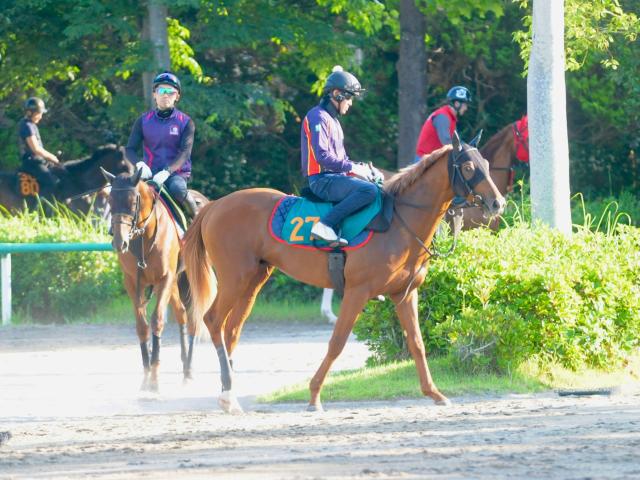 全兄に皐月賞馬のジオグリフ ロスパレドネスが日曜福島で初陣/関東馬メイクデビュー情報