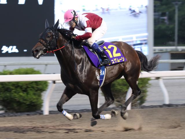 【高知・高知優駿結果】ジュゲムーンが圧倒的人気に応え2冠達成