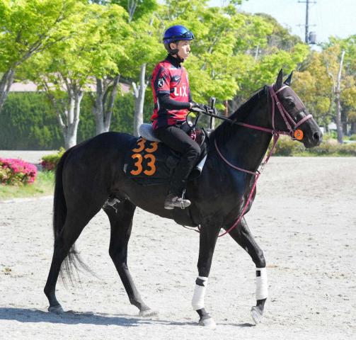 【ラジオNIKKEI賞】ショウナンマクベス　重賞3戦の経験生きる!　荒れるハンデ戦　1番人気8連敗中
