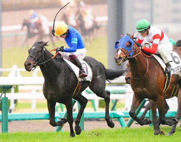 【ラジオNIKKEI賞】センツブラッド　前走の粘り評価　陣営「精神的な部分や肉体的にも成長している」